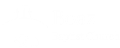 Boaz Logo